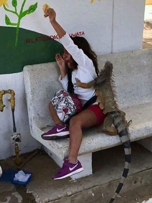 85715517.jpg