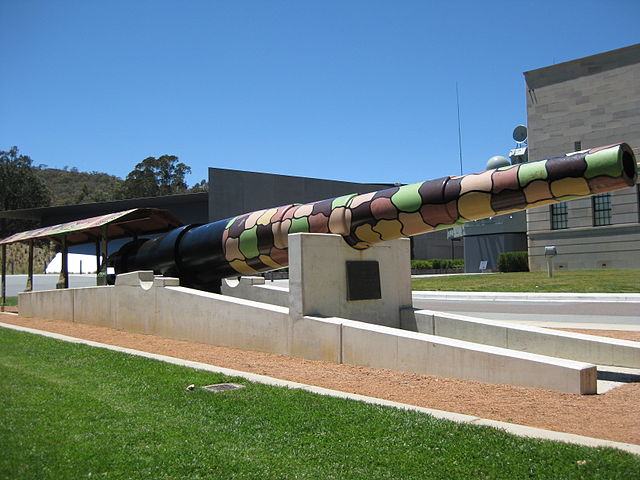 Amiens_gun_17Jan08.jpg