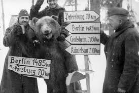 Something..ndbears.jpg