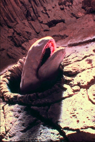 Space Slug.jpg