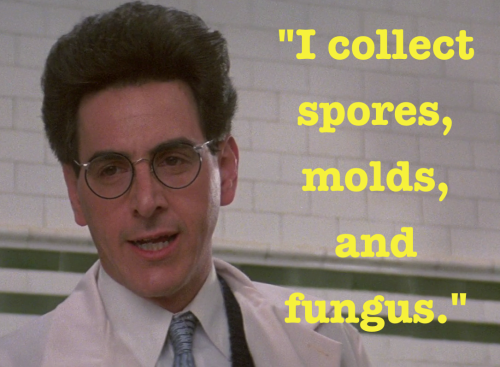 Ghostbusterquote.jpg