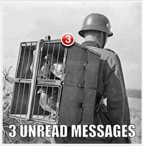 warpigeon..messages.jpg