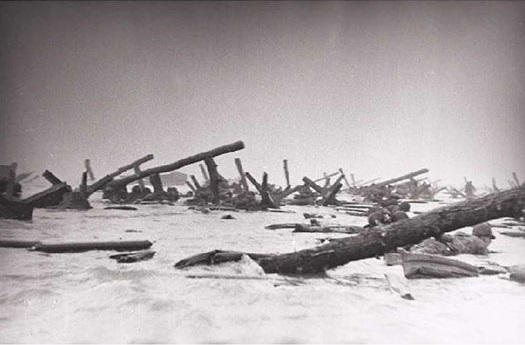 Omaha Fox .. sur Mer.jpg