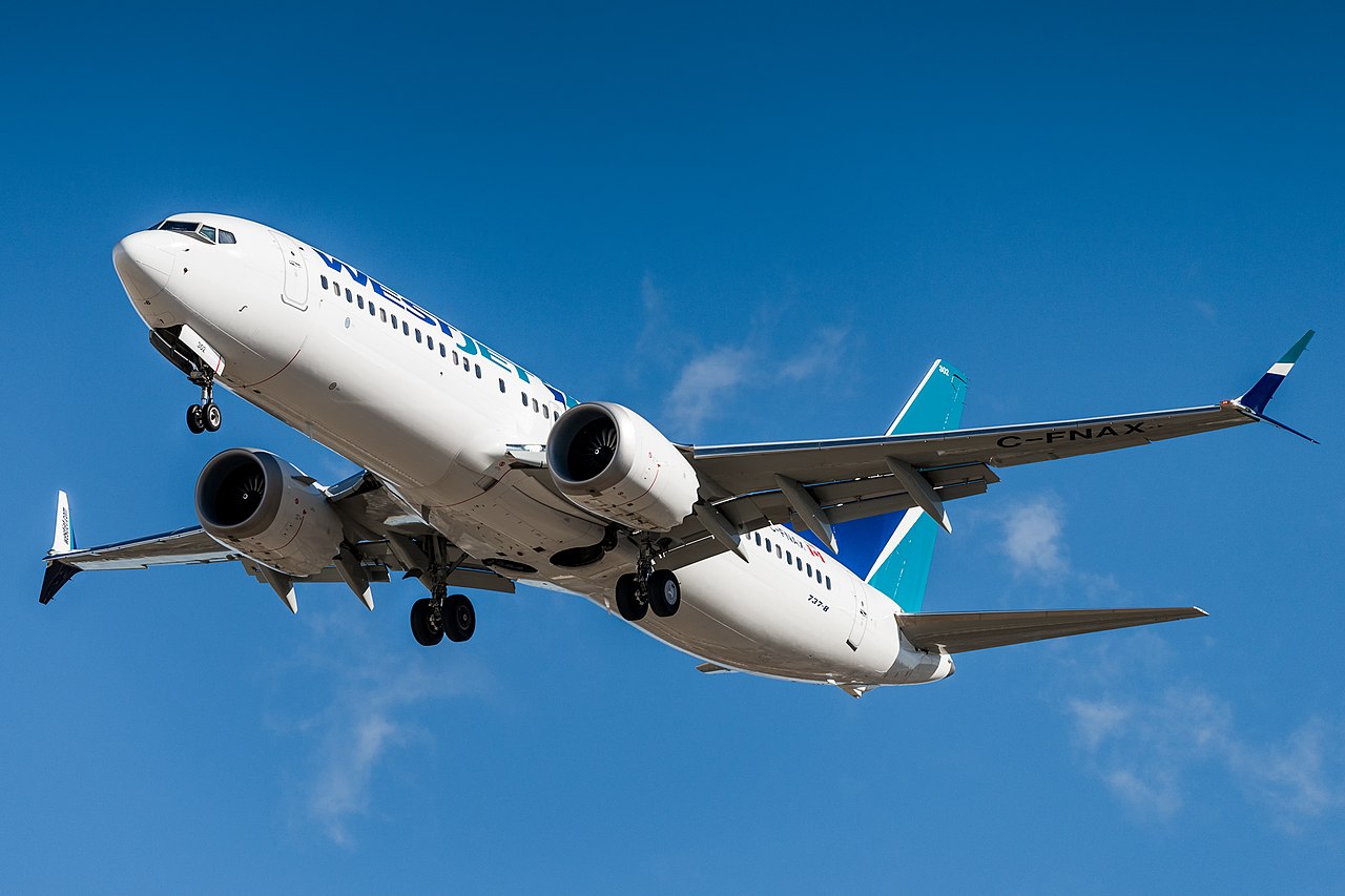 737.jpg