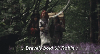 bravesirobin.gif
