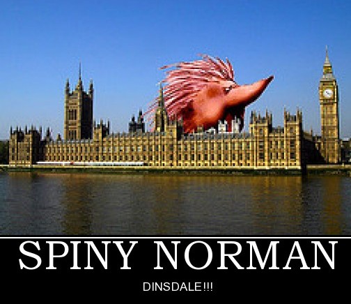 spinynorman.jpg