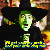 andyourlittledogtoo.gif