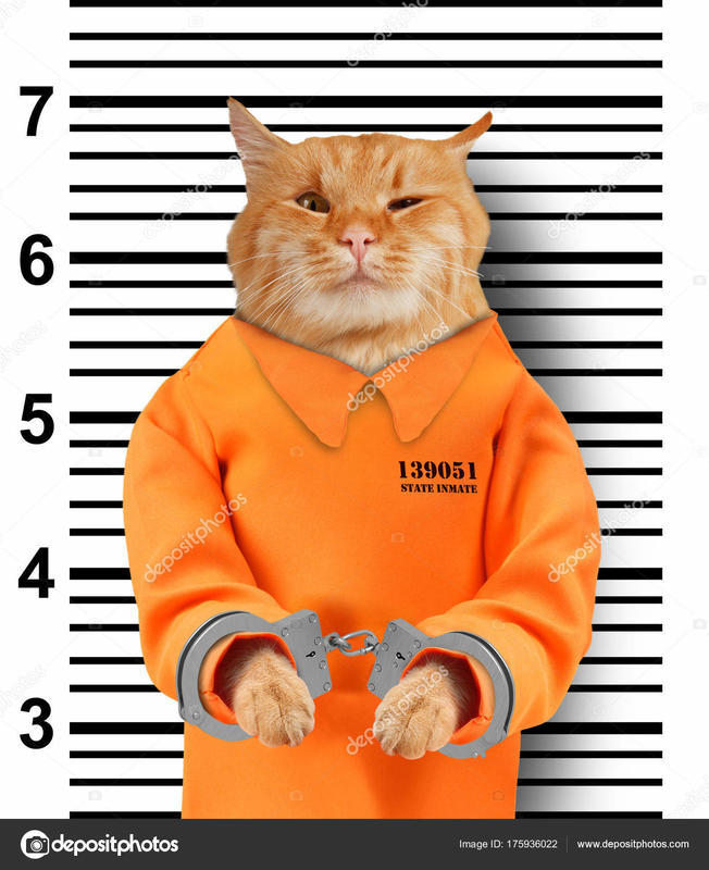 lillyincuffs.jpg