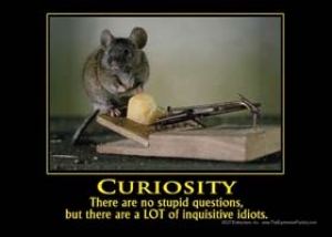 inquisitiveidiots.jpg