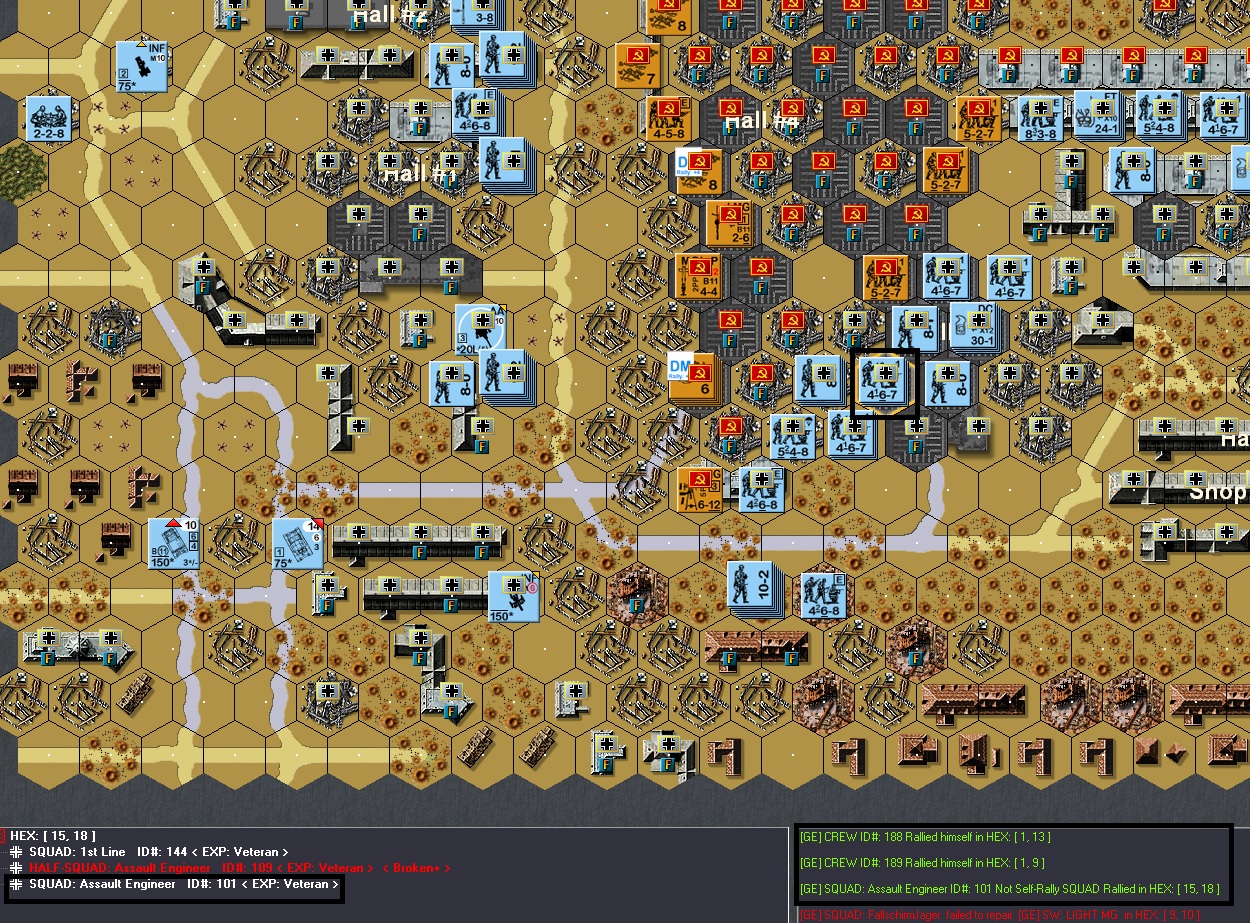 rally bug.jpg