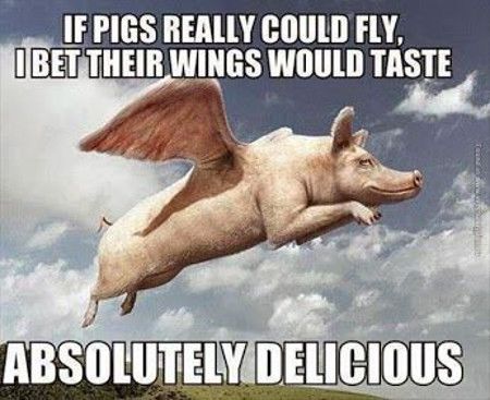 pigs.jpg