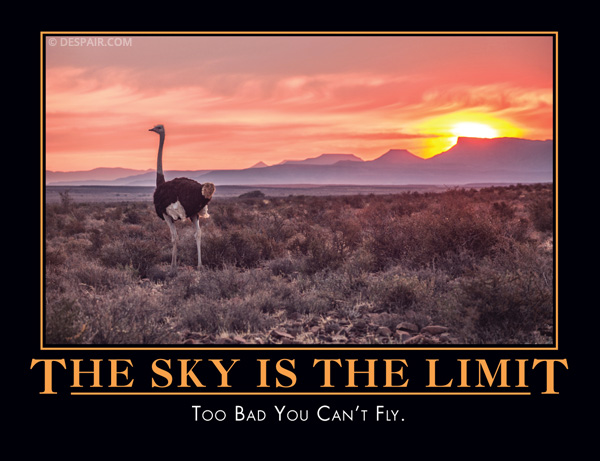 toobadyoucantfly.jpg