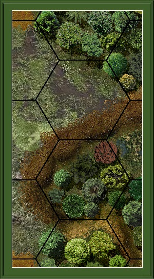 Swamp.jpg