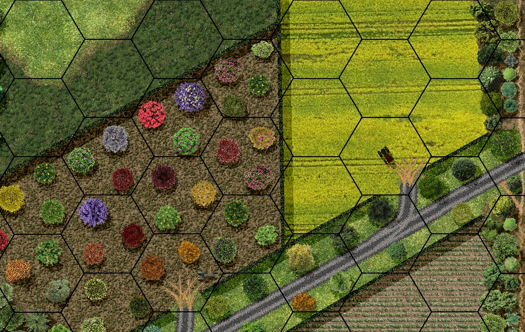 Partizani ..rth town.jpg