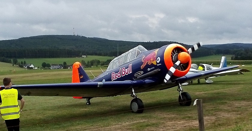 t6.jpg