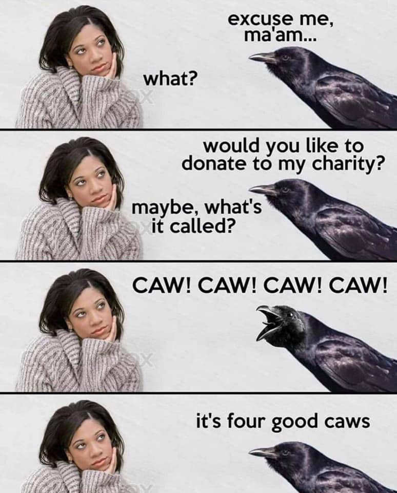 Fourgoodcaws.jpg