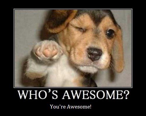 puppyawesome.jpg