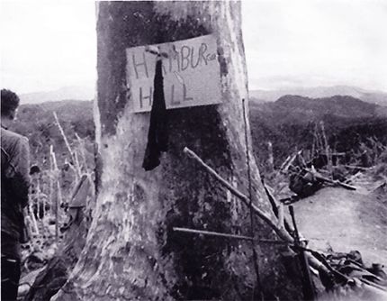 hamburgerhill_tree.jpg