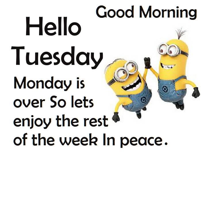 morning.jpg