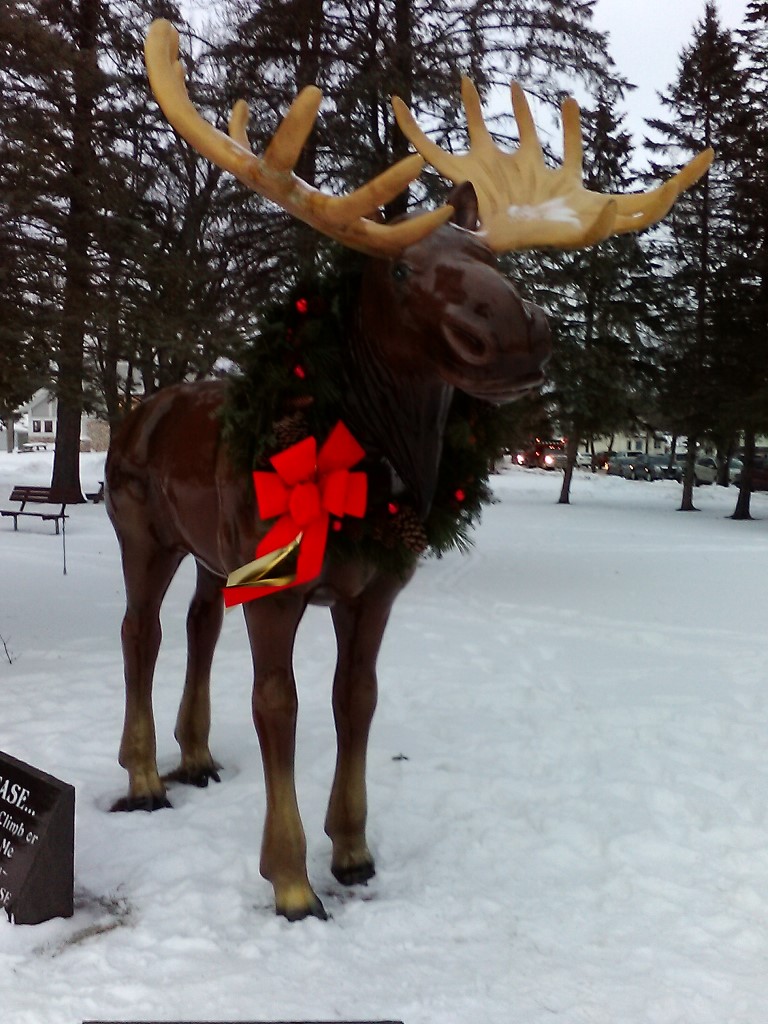 Christmasmoose.jpg