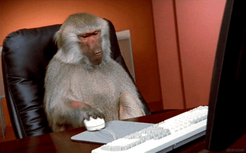 obezyanyn..enniki2.gif
