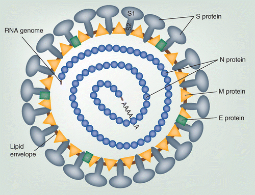 figure1.gif