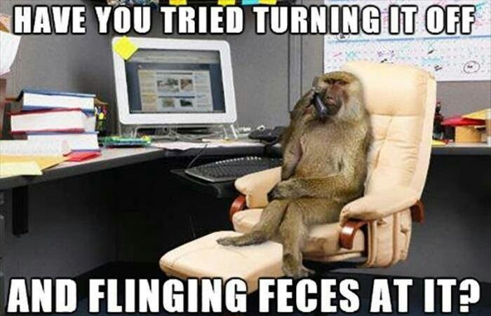 MonkeyTechSupport.jpg
