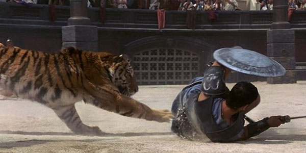 liongladiator.jpg