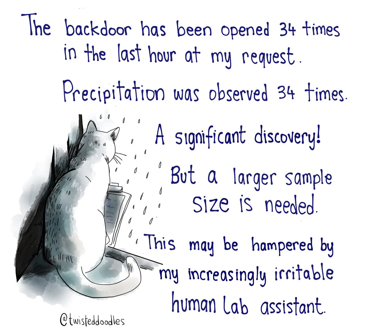 catdooropen.jpg
