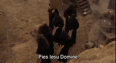 monkschant..olygrail.gif