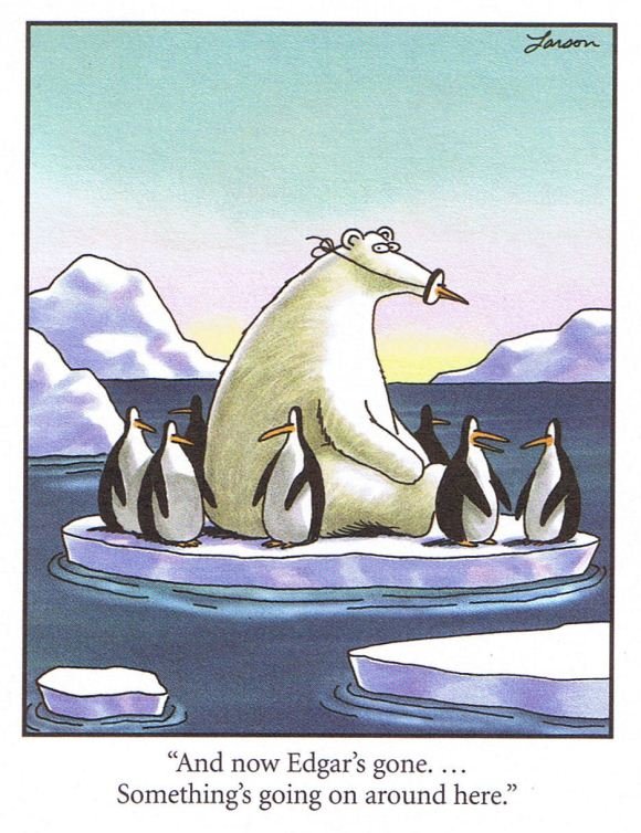 polarbearpenguin.jpg