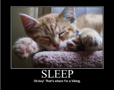 sleep.jpg