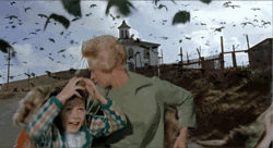 hitchcockthebirds.gif