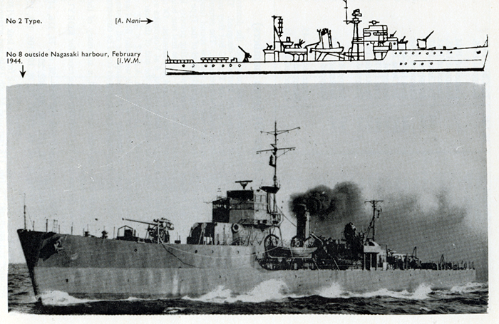 Type D.jpg