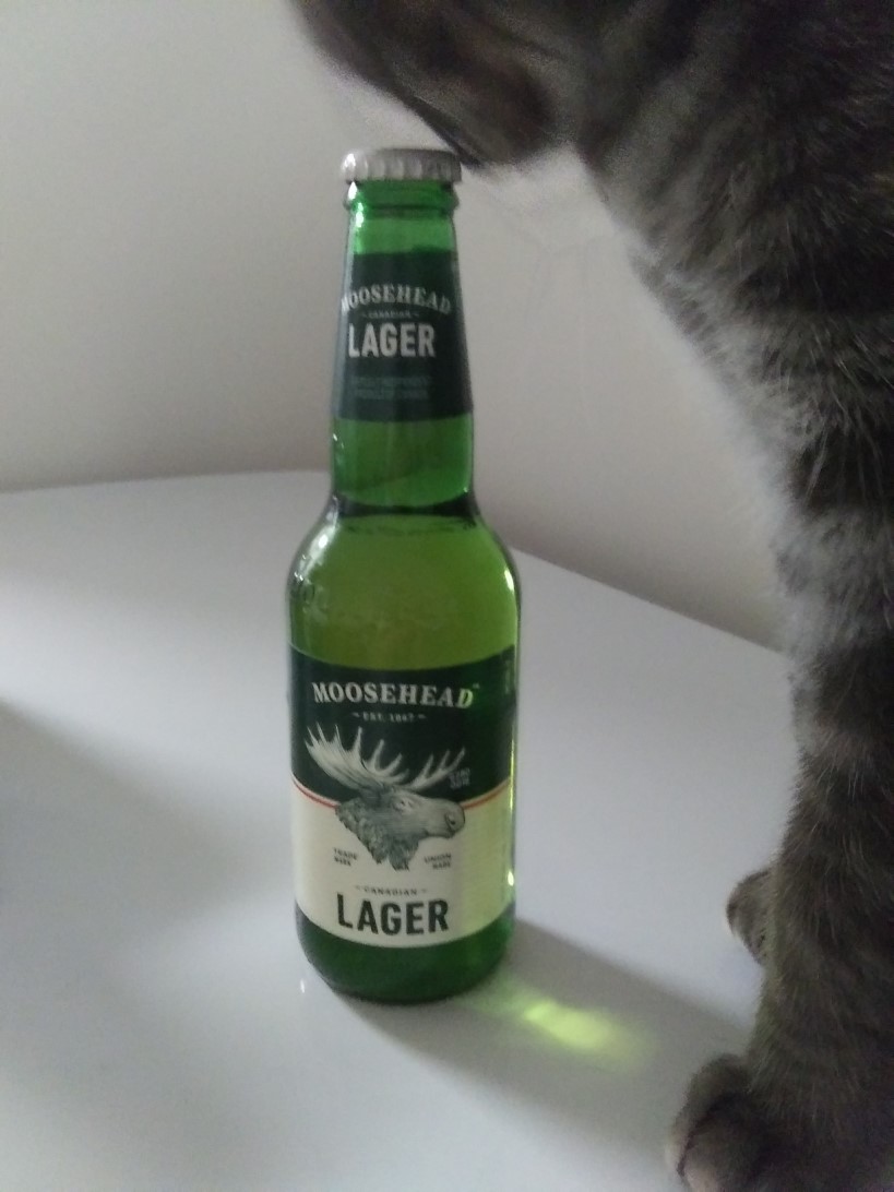moosehead..yshrunk.jpg