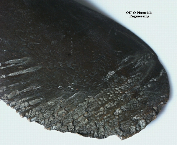 corr04.jpg