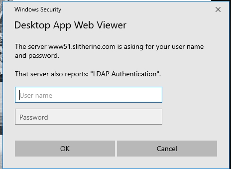 WindowsSecurity.jpg