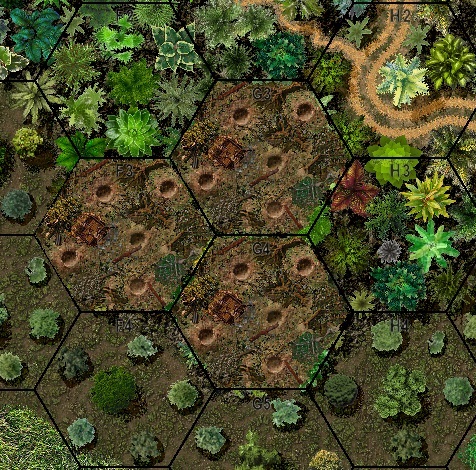 Wood Debris.jpg