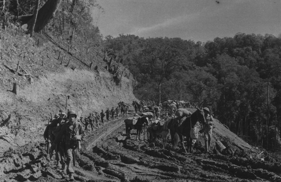 Pacific Nh..scenario.jpg