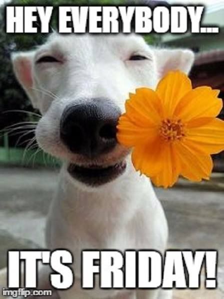 itsfriday.jpg