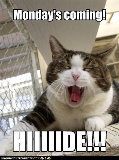 mondaysco..hiiiiide.jpg