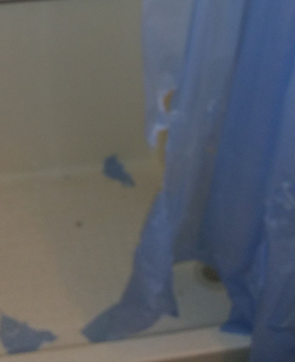 first on s.._cropped.jpg