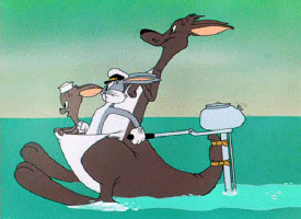 BugsAustralianNavy.gif