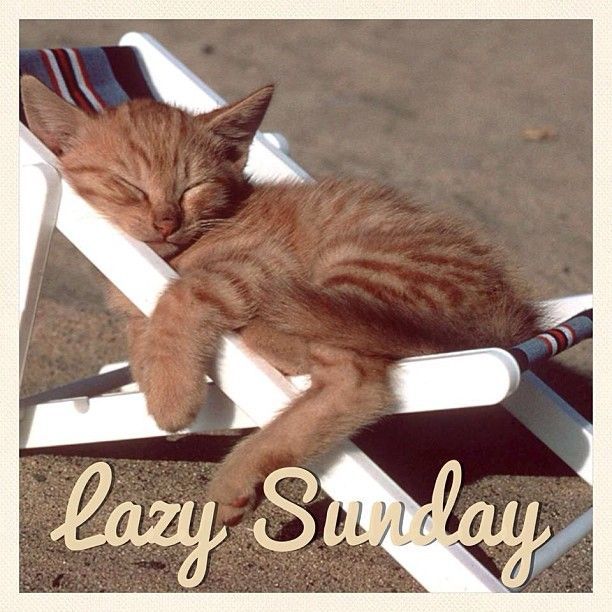 Lazysunday.jpg