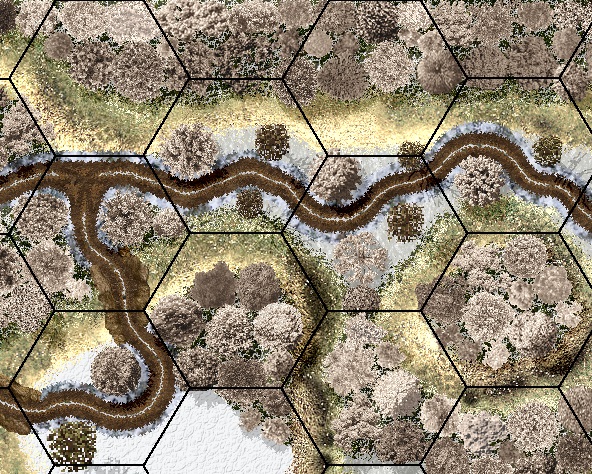ForestBranch.jpg