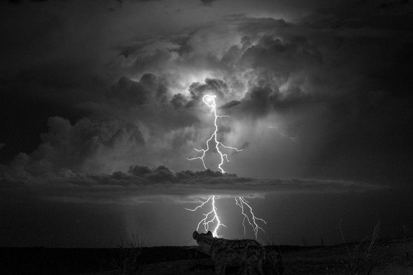 LightningStrike.jpg