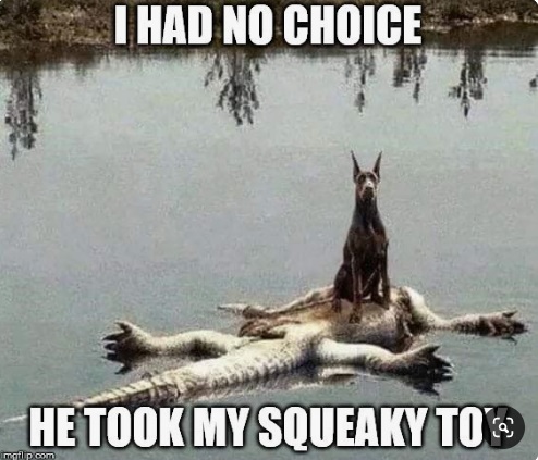 I had no choice.jpg