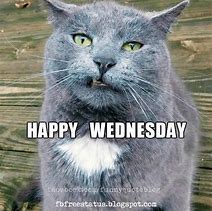 wed1.jpg