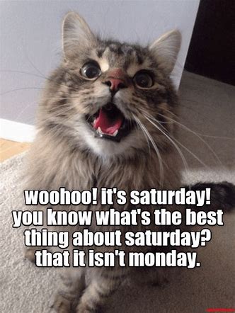 thebestt..tmonday.jpg
