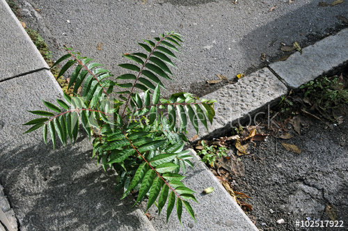 400_F_1025..2T5DcfDN.jpg